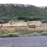Review photo of Morefield Campground — Mesa Verde National Park by Thomas B., July 12, 2020