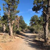 Review photo of Morefield Campground — Mesa Verde National Park by Thomas B., July 12, 2020