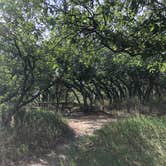 Review photo of Morefield Campground — Mesa Verde National Park by Thomas B., July 12, 2020
