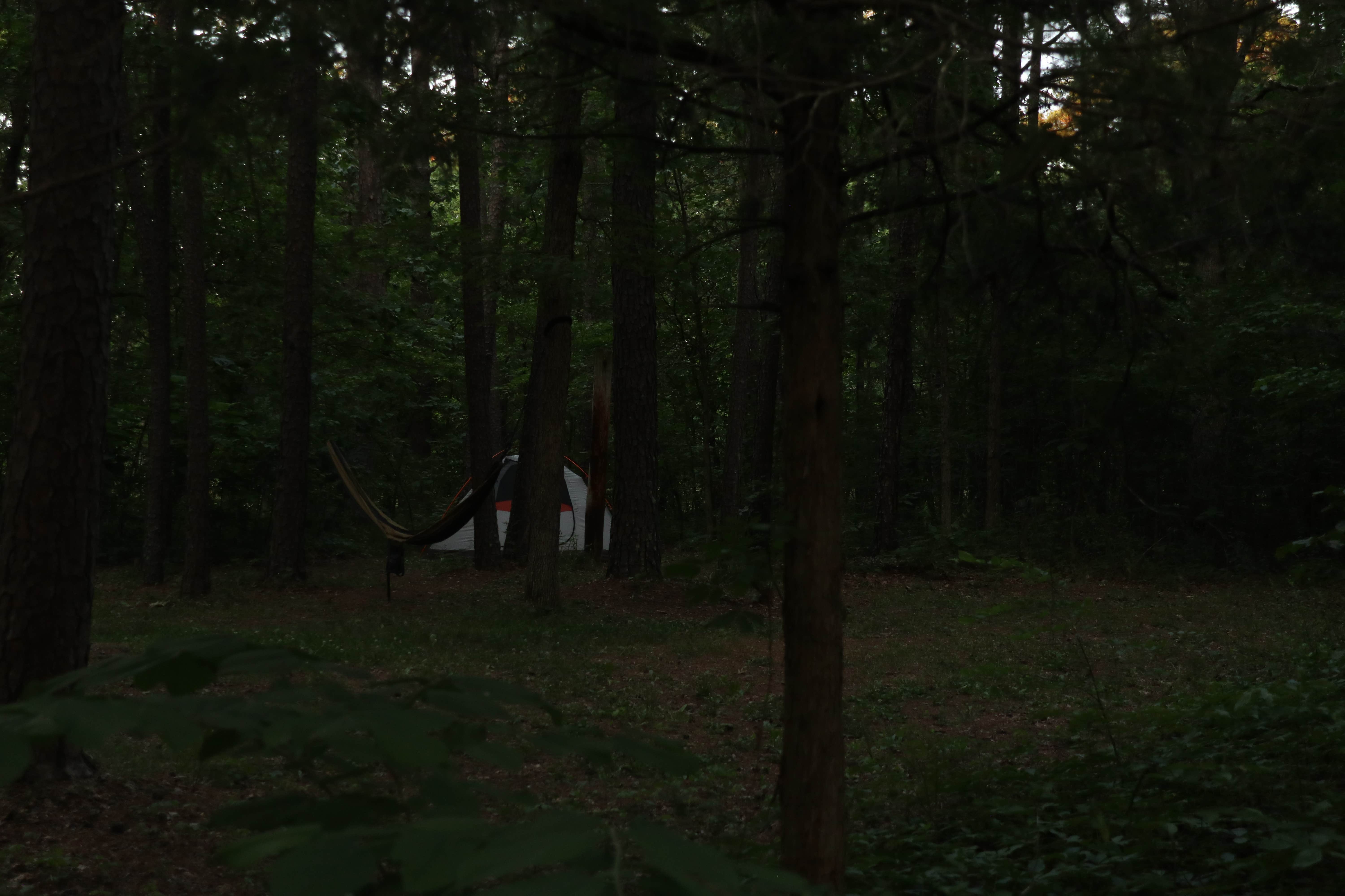 Camper-submitted photo at Berryman Trail & Campgrounds - Mark Twain National Forest near Imperial, MO