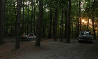 Tommy S.'s photo at Redbud Campground at Bell Smith Springs near Stonefort, IL