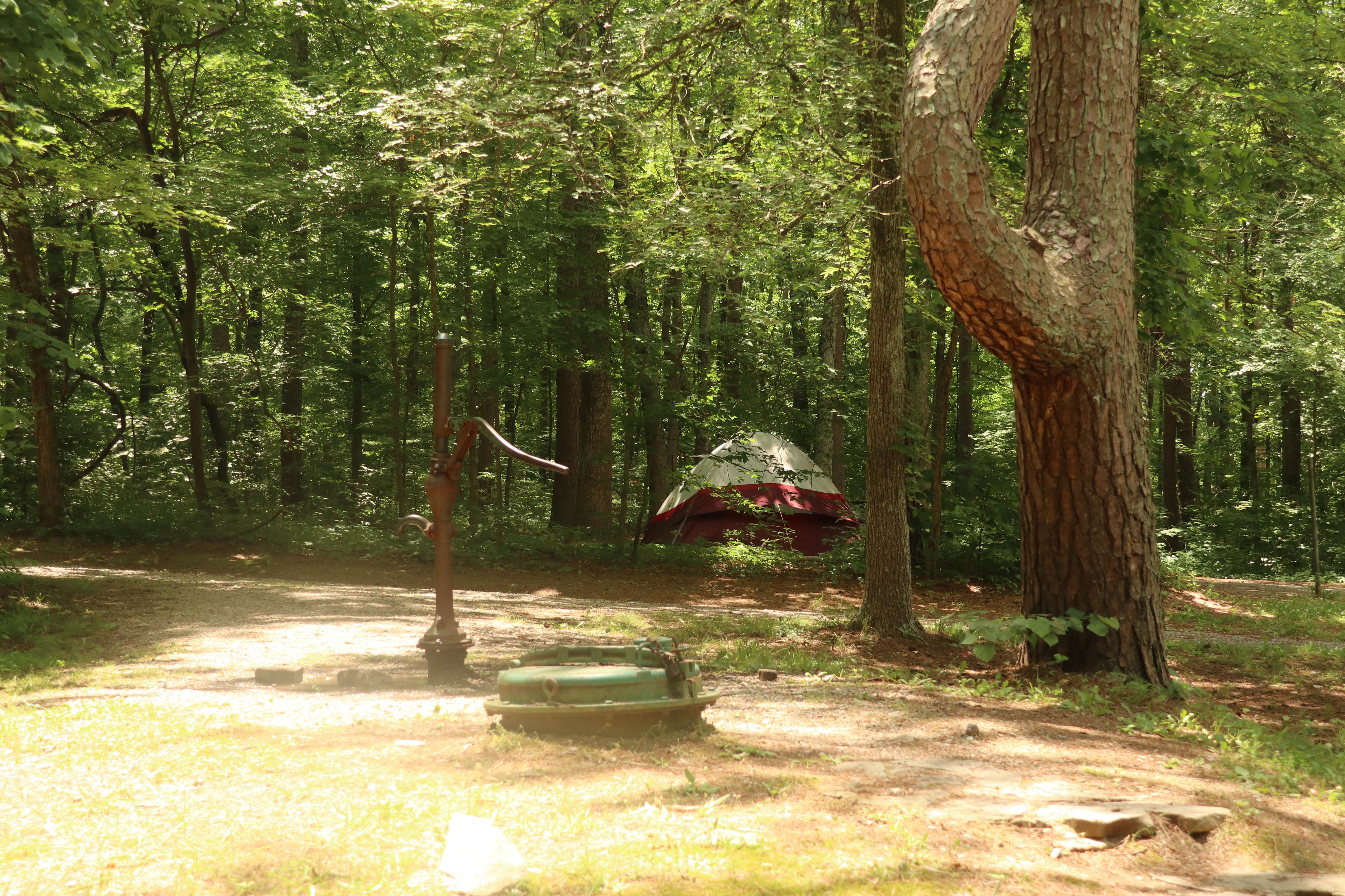 Camper submitted image from Redbud Campground at Bell Smith Springs - 3