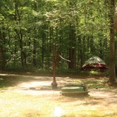 Review photo of Redbud Campground at Bell Smith Springs by Tommy S., July 12, 2020