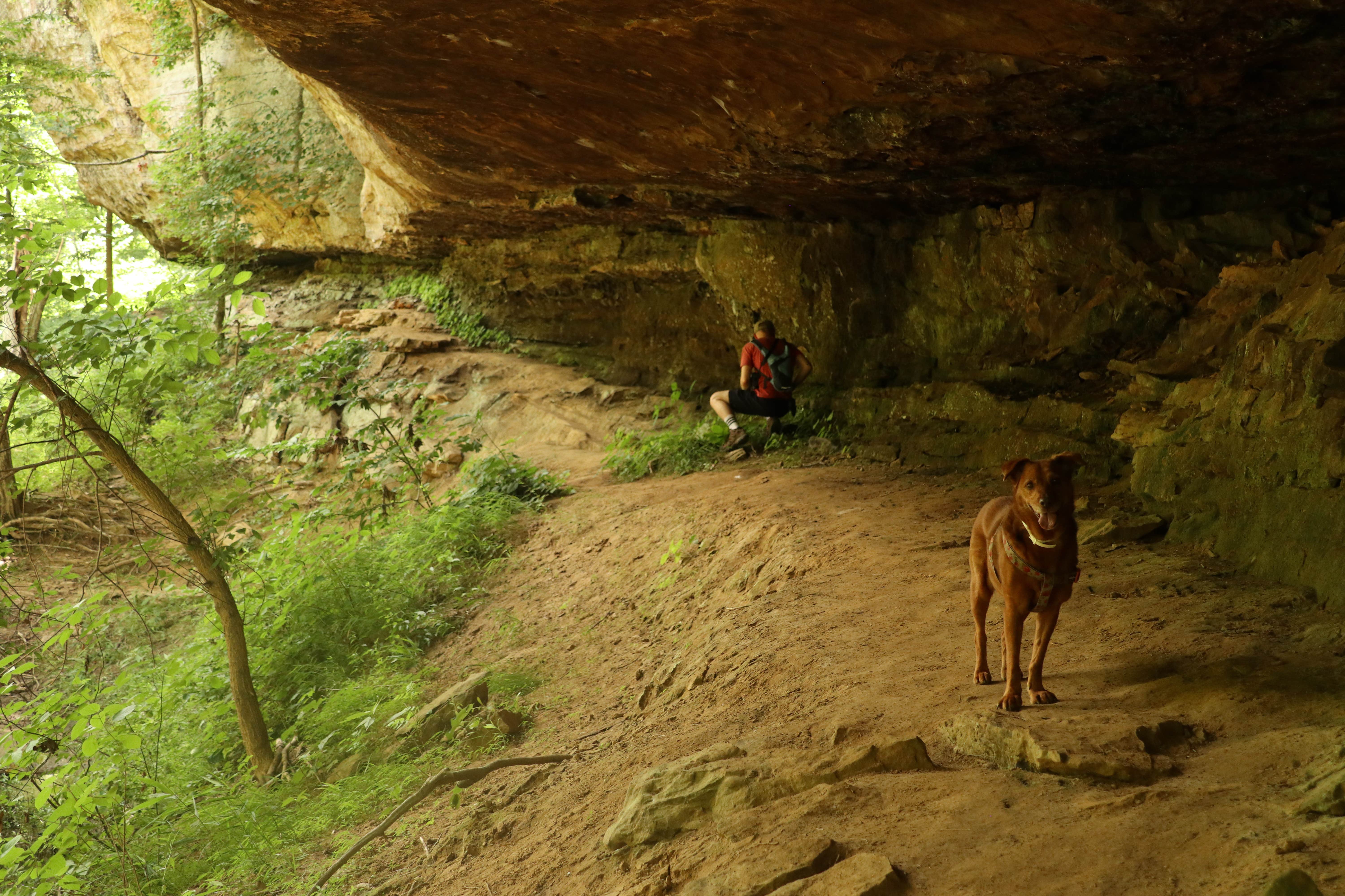 Tommy S.'s photo of camping with pets at Redbud Campground at Bell Smith Springs in Illinois