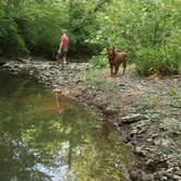 Review photo of Mitchell Creek Road Dispersed by Tommy S., July 12, 2020