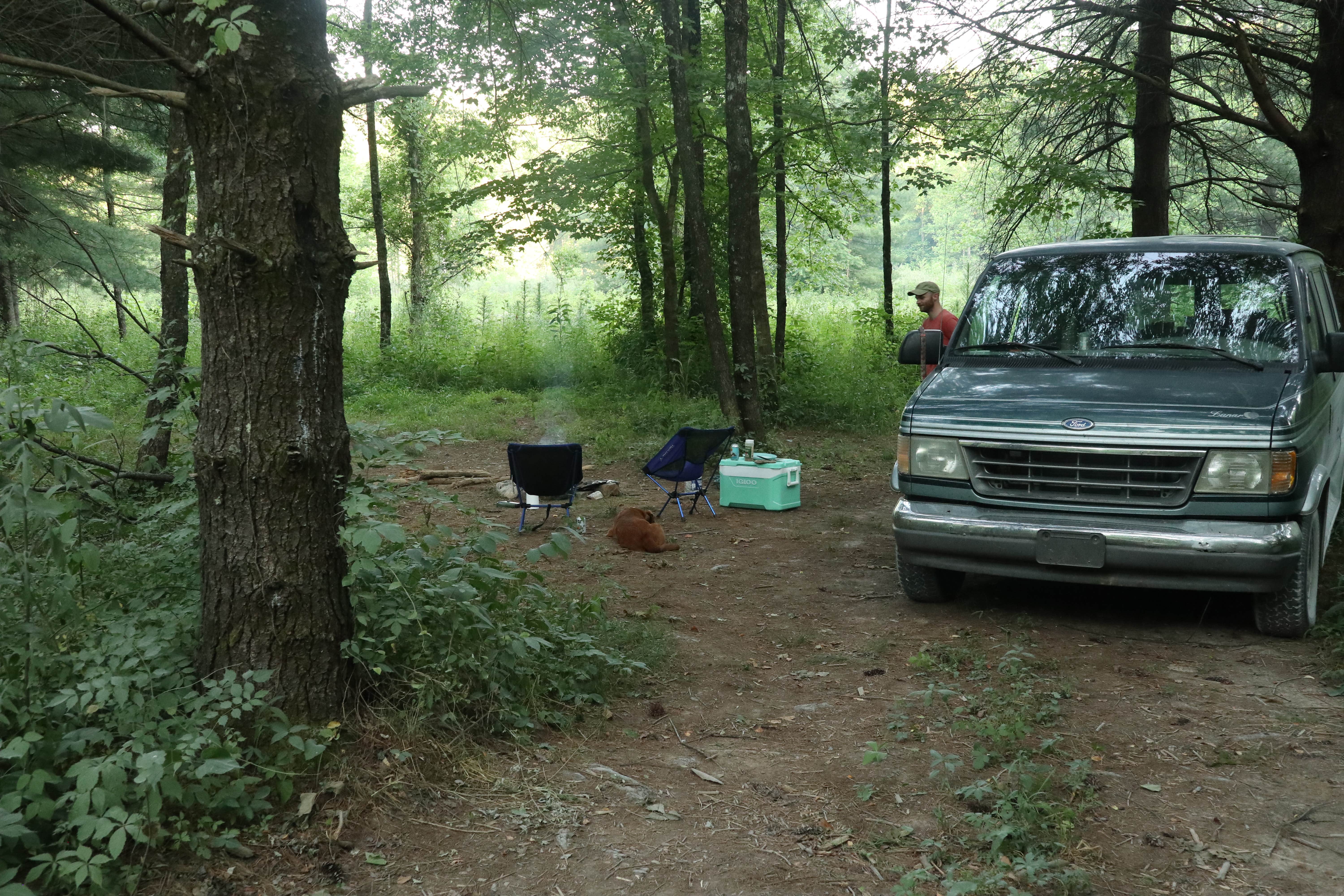 Camper submitted image from Mitchell Creek Road Dispersed - 3