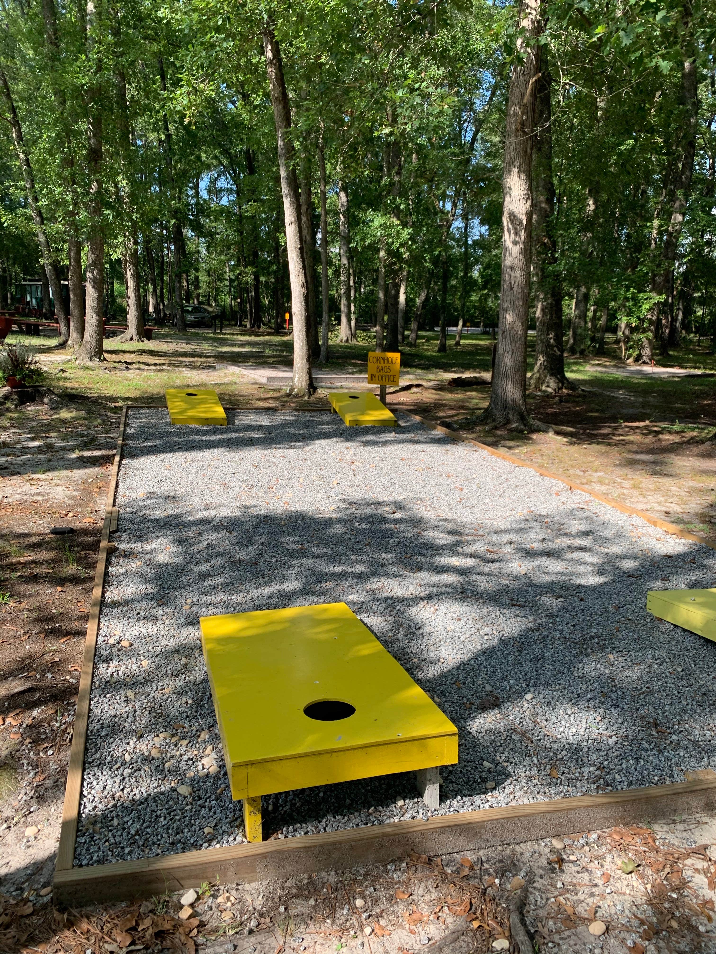 Camper-submitted photo at Point South KOA near Beaufort, SC