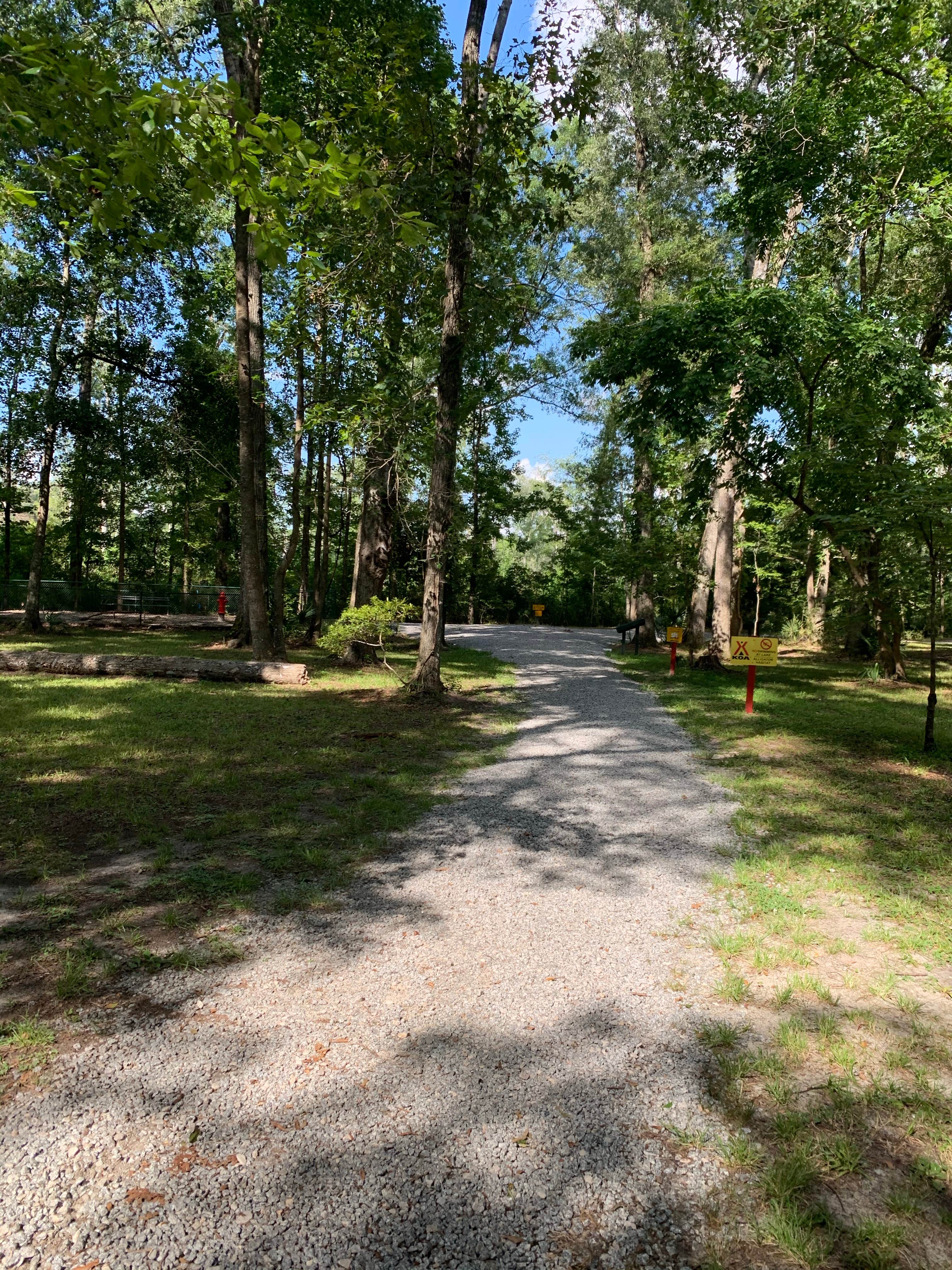 Camper-submitted photo at Point South KOA near Beaufort, SC