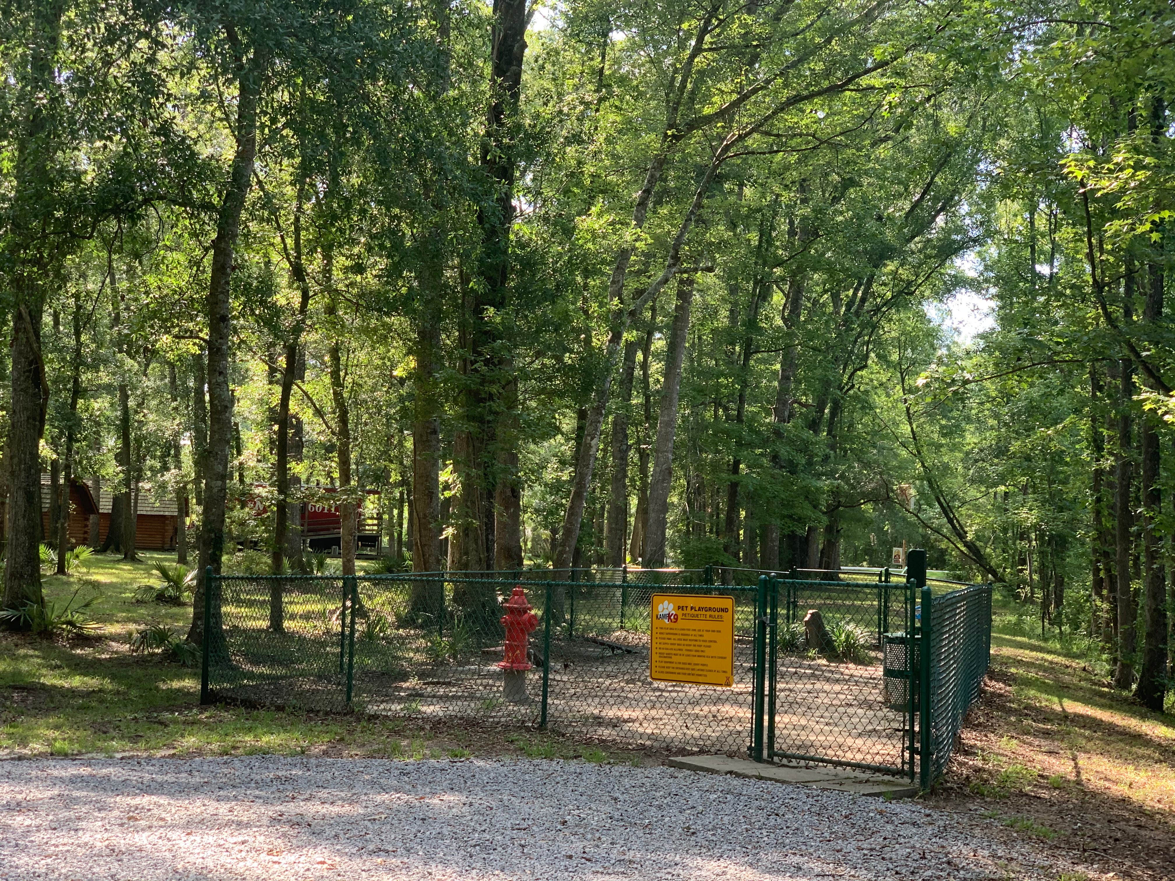 Camper-submitted photo at Point South KOA near Beaufort, SC