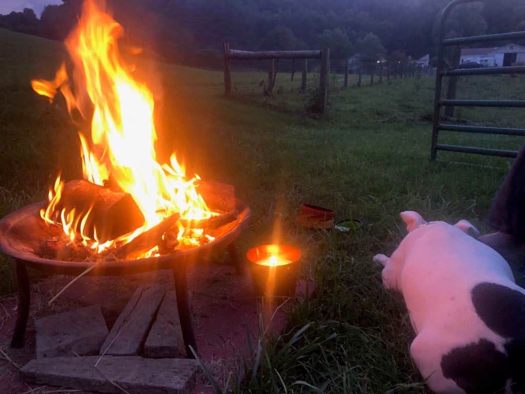 Camper submitted image from CB Ranch - 2