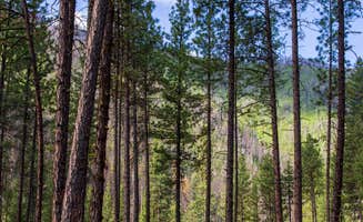 Aaron  B.'s photo at Pine Flats (ID) near Garden Valley, ID