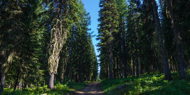 Camper submitted image from Mottet