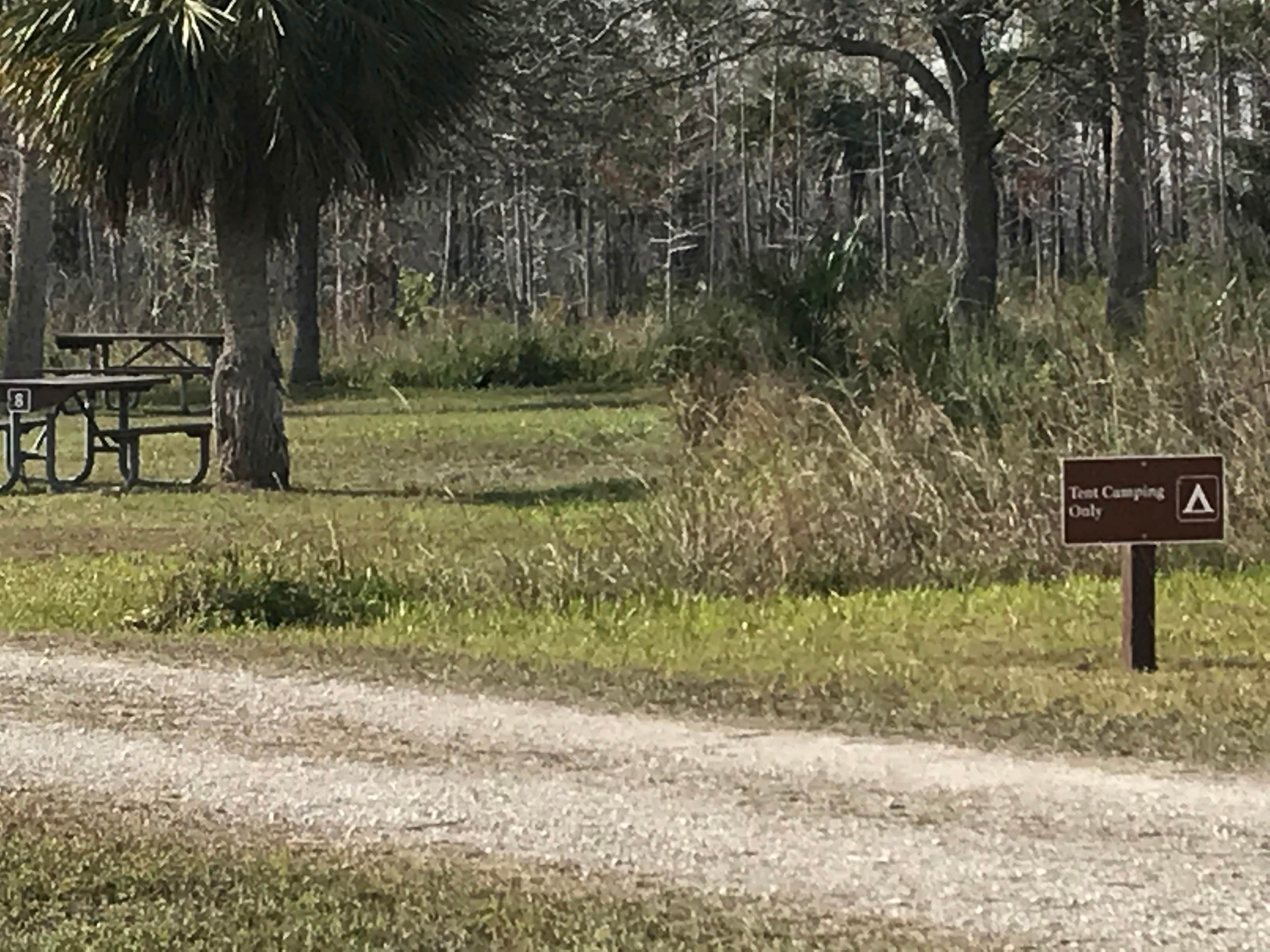 Camper submitted image from Monument Lake Campground — Big Cypress National Preserve - 3