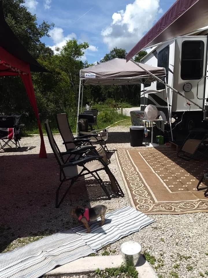 Robert L.'s photo of camping with pets at Palmetto Ridge Campground — Myakka River State Park near Venice, FL
