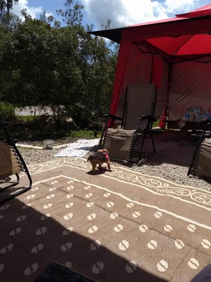 Robert L.'s photo of camping with pets at Palmetto Ridge Campground — Myakka River State Park near Englewood, FL