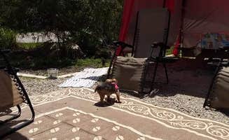 Robert L.'s photo of camping with pets at Palmetto Ridge Campground — Myakka River State Park near Nokomis, FL