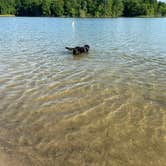 Review photo of West Branch State Park Campground by Andrea F., July 12, 2020