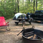 Review photo of Sand Lake Campground — Manistee National Forest by Patrick K., July 12, 2020