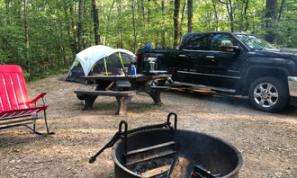 Sand Lake Campground - Manistee National Forest