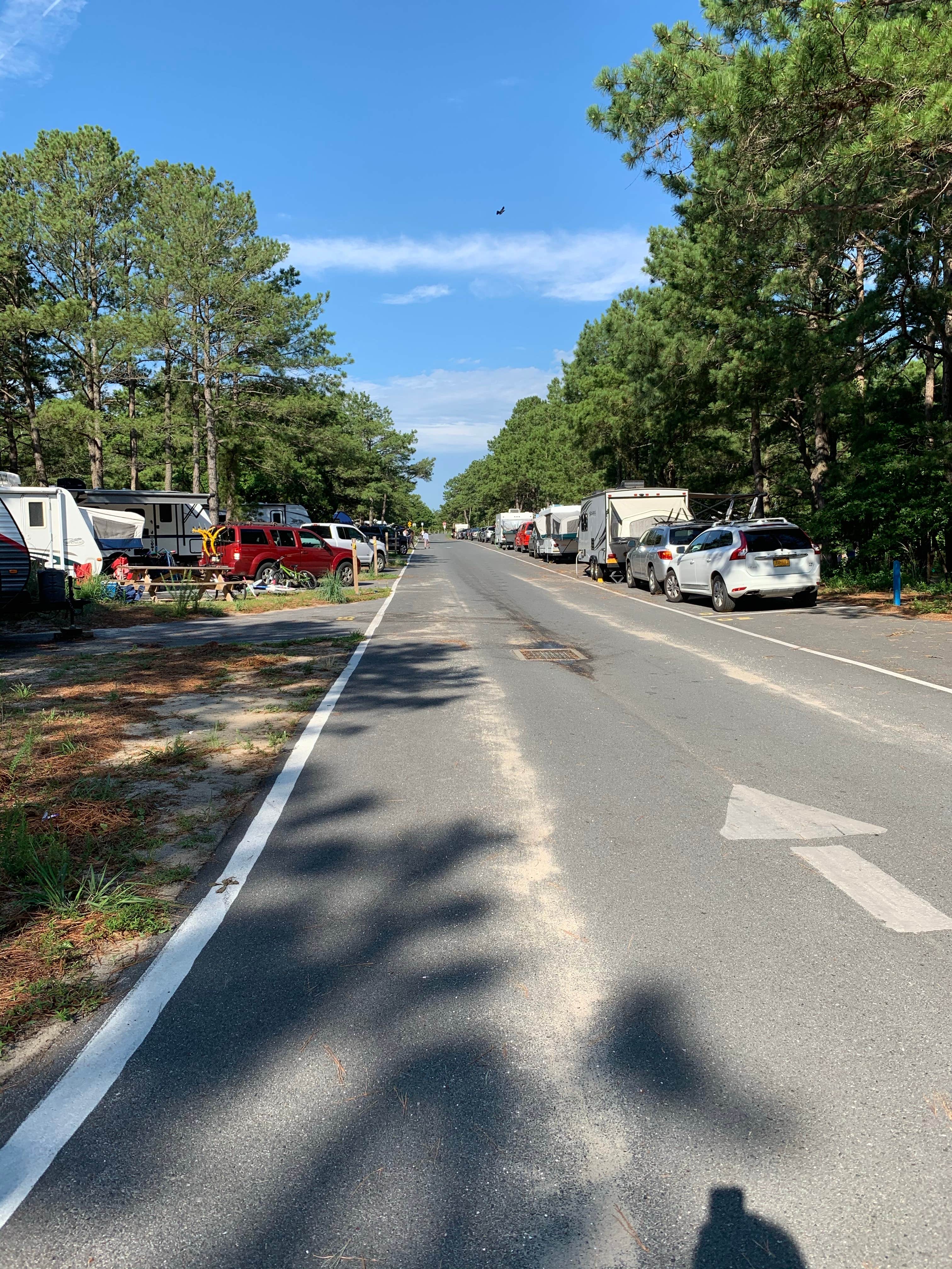 Laure D.'s photo of rv camping at Cape Henlopen State Park Campground near Milton, DE
