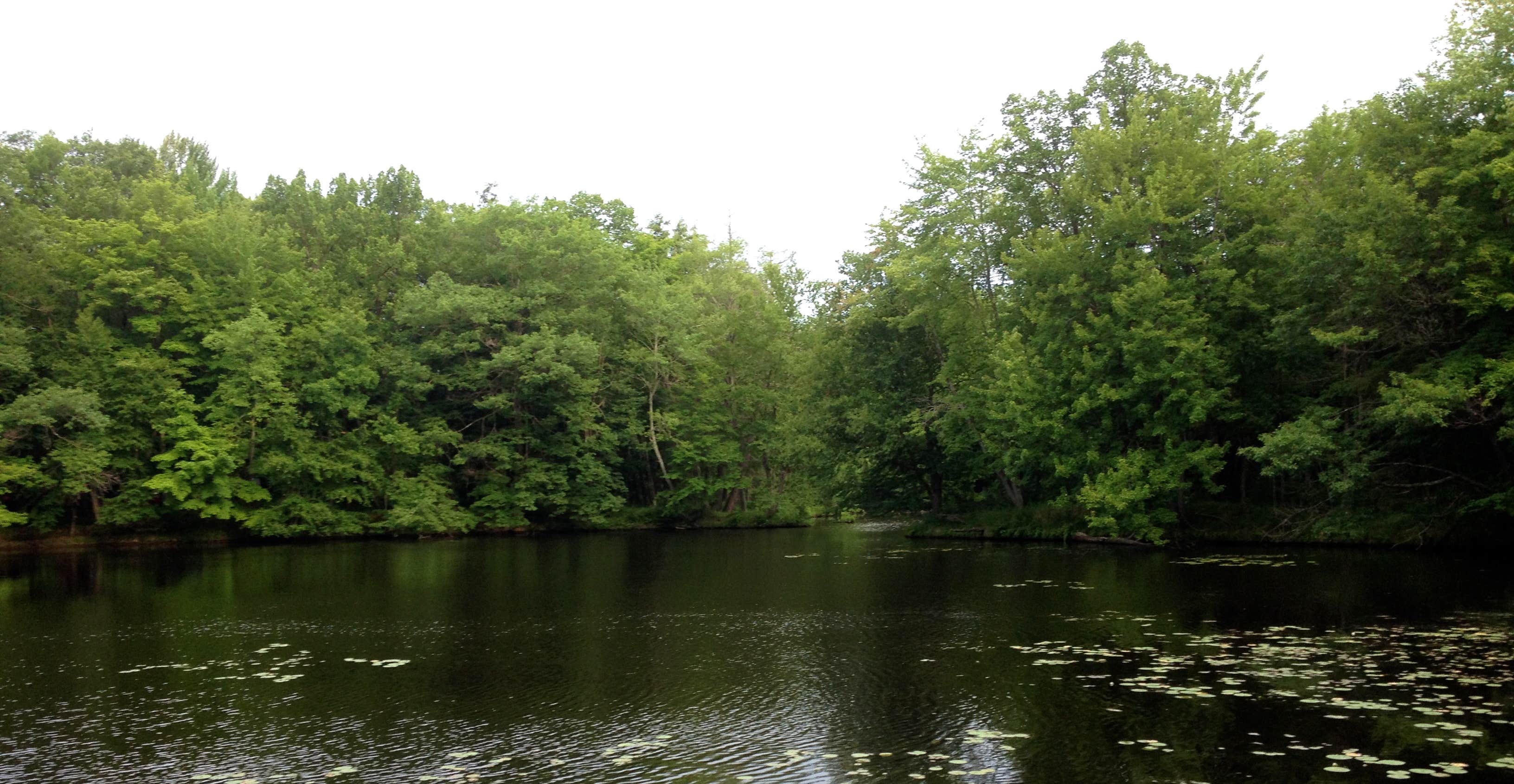 Camper submitted image from Brunet Island State Park Campground - 3
