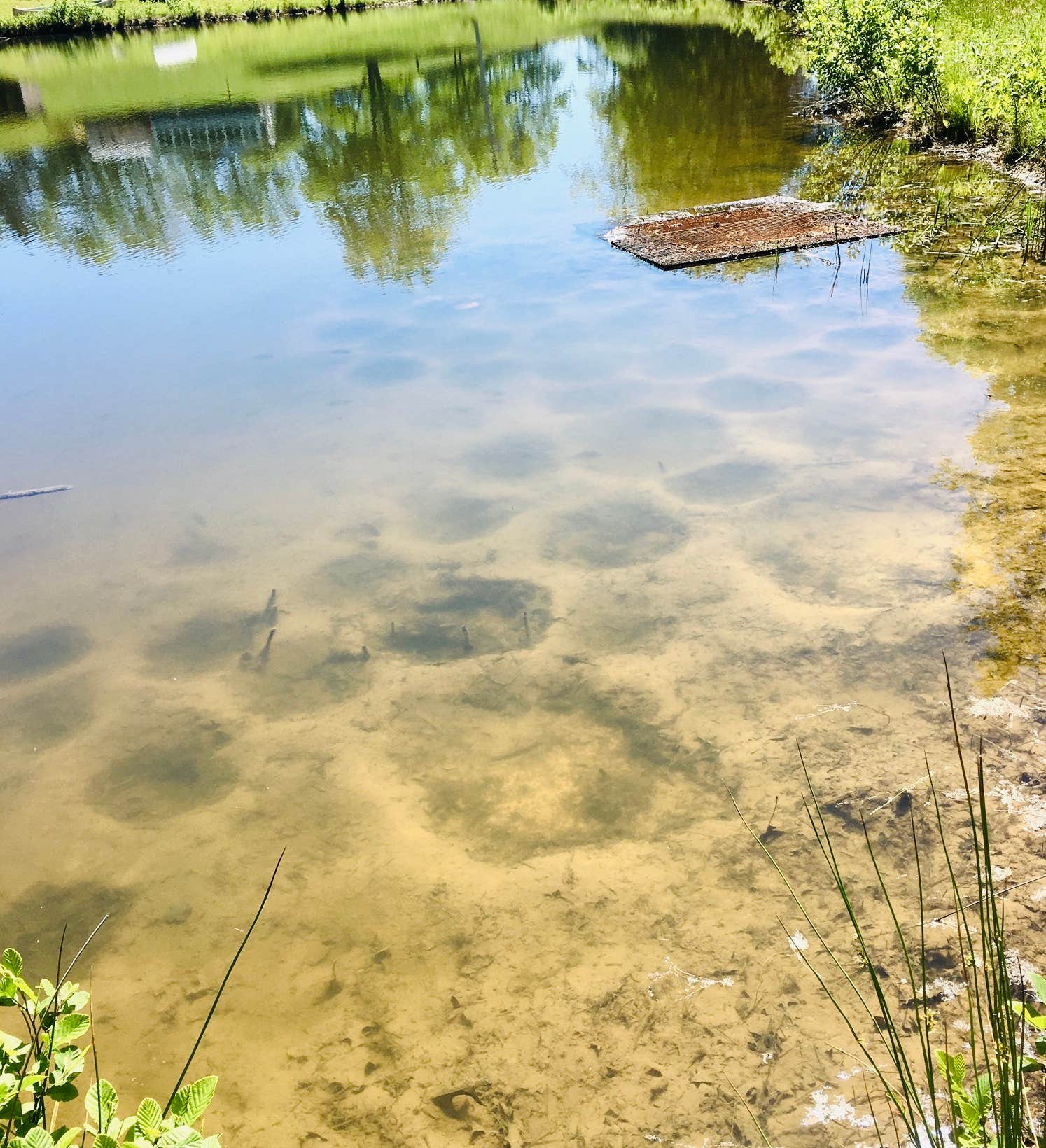 Camper-submitted photo at Camp Ara near Belington, WV