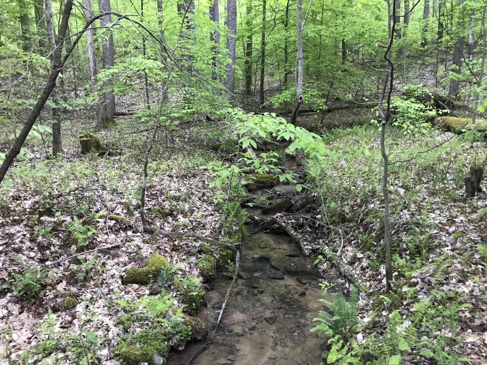 Camper-submitted photo at Camp Ara near Belington, WV