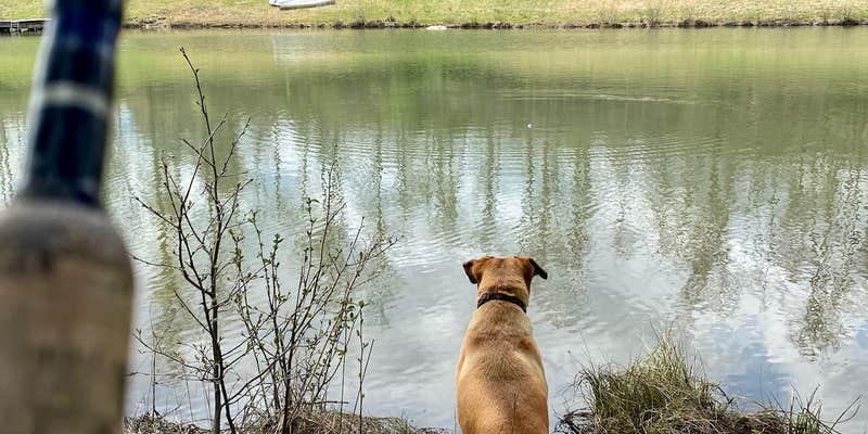 Camper submitted image from Camp Ara