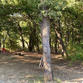 Review photo of Cedar Hill State Park Campground by Bree B., July 13, 2020