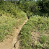 Review photo of Cedar Hill State Park Campground by Bree B., July 13, 2020