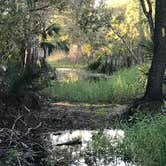Review photo of Fisheating Creek Campground by Dave V., January 25, 2018