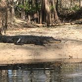 Review photo of Fisheating Creek Campground by Dave V., January 25, 2018