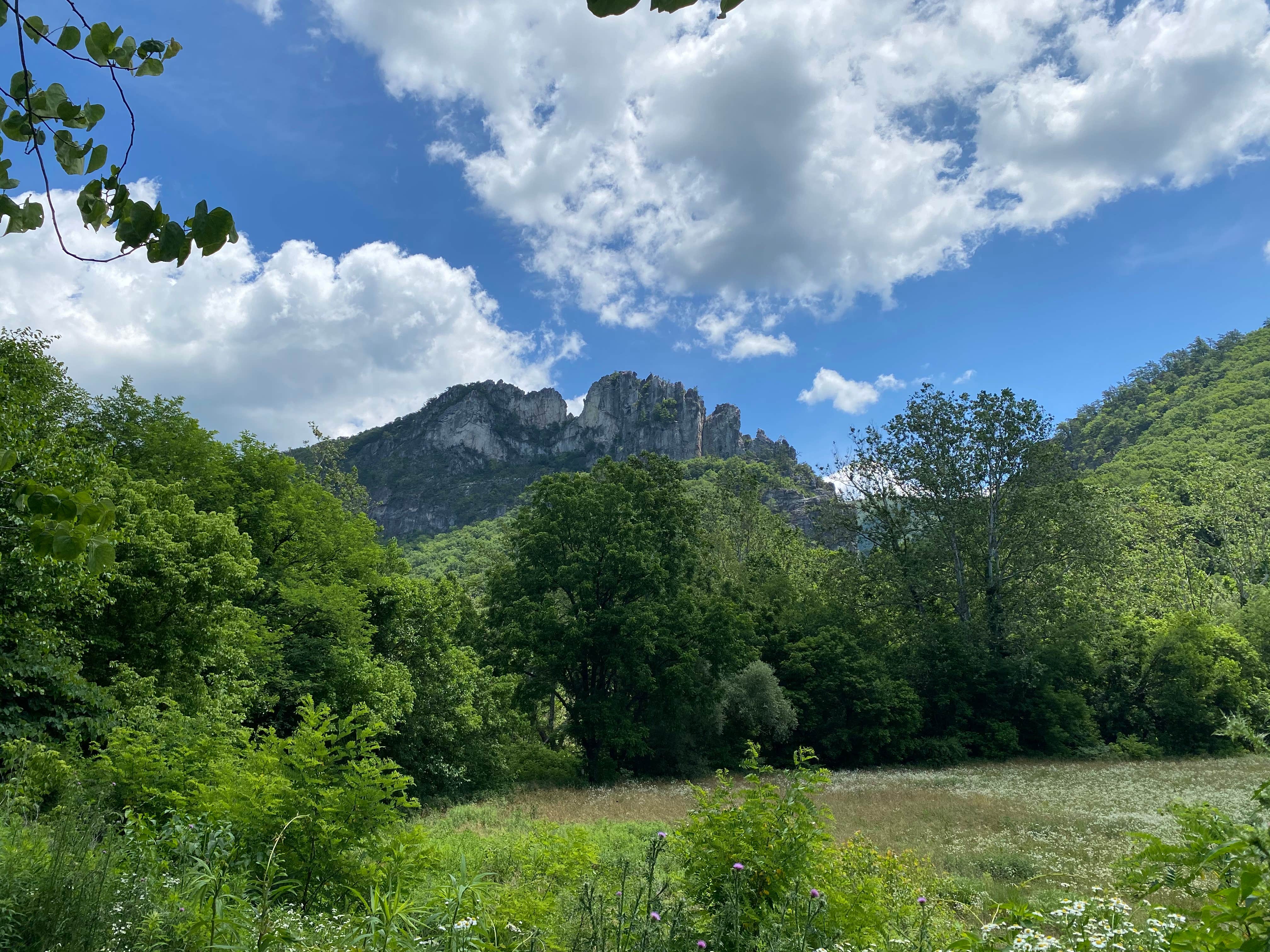 Camper-submitted photo at Seneca Shadows near Glady, WV