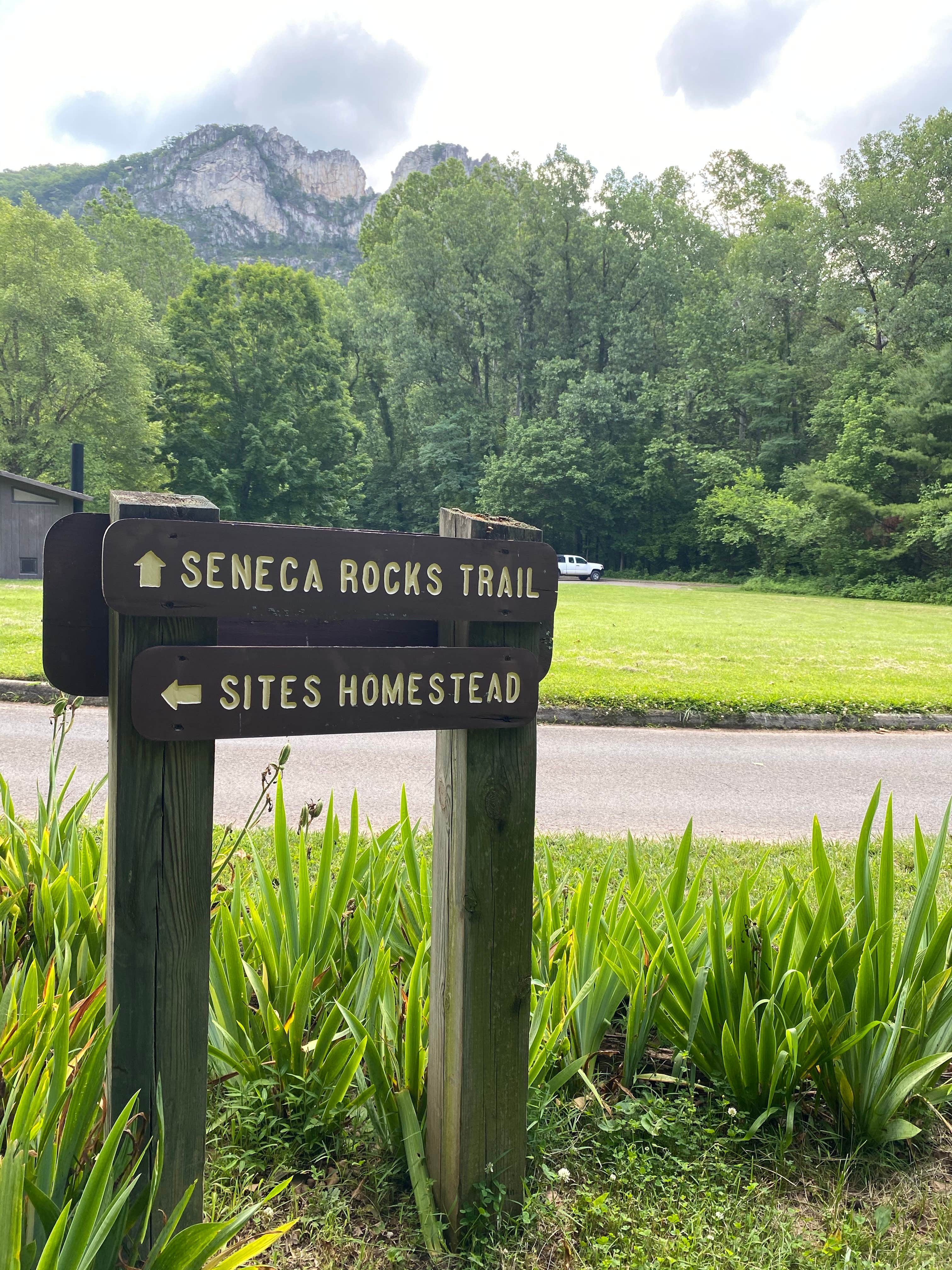 Camper-submitted photo at Seneca Shadows near Glady, WV
