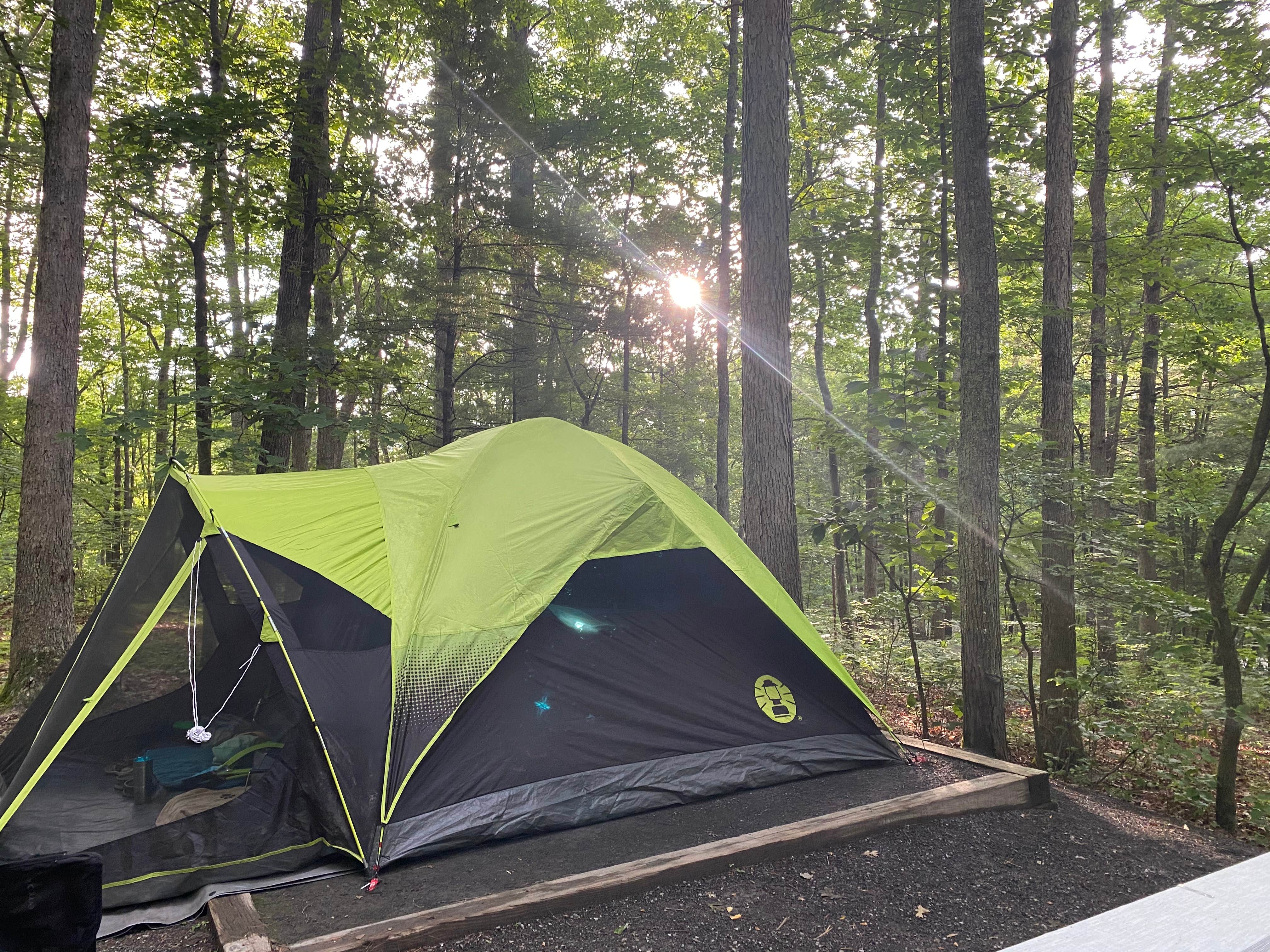 Jillian E.'s photo at Seneca Shadows near Dryfork, WV