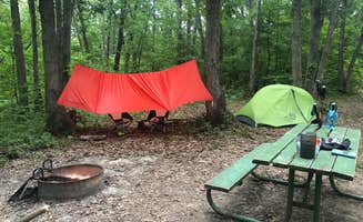 Christopher S.'s photo at Woodburn Unit — Stephens State Forest near Rathbun Lake