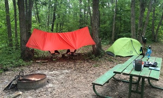 Camping near Little River Recreation Area: Woodburn - Stephens Forest, Woodburn, Iowa