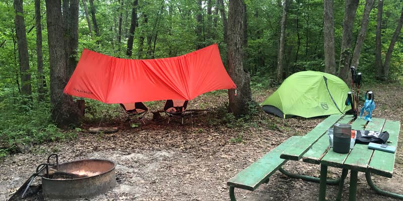 Camper submitted image from Woodburn Unit — Stephens State Forest