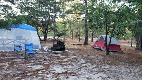 Diane T.'s photo at Cape Henlopen State Park Campground near Millsboro, DE