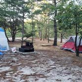 Review photo of Cape Henlopen State Park Campground by Diane T., July 13, 2020