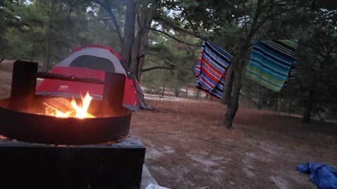 Diane T.'s photo at Cape Henlopen State Park Campground near Tabernacle, NJ
