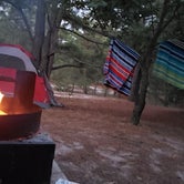 Review photo of Cape Henlopen State Park Campground by Diane T., July 13, 2020