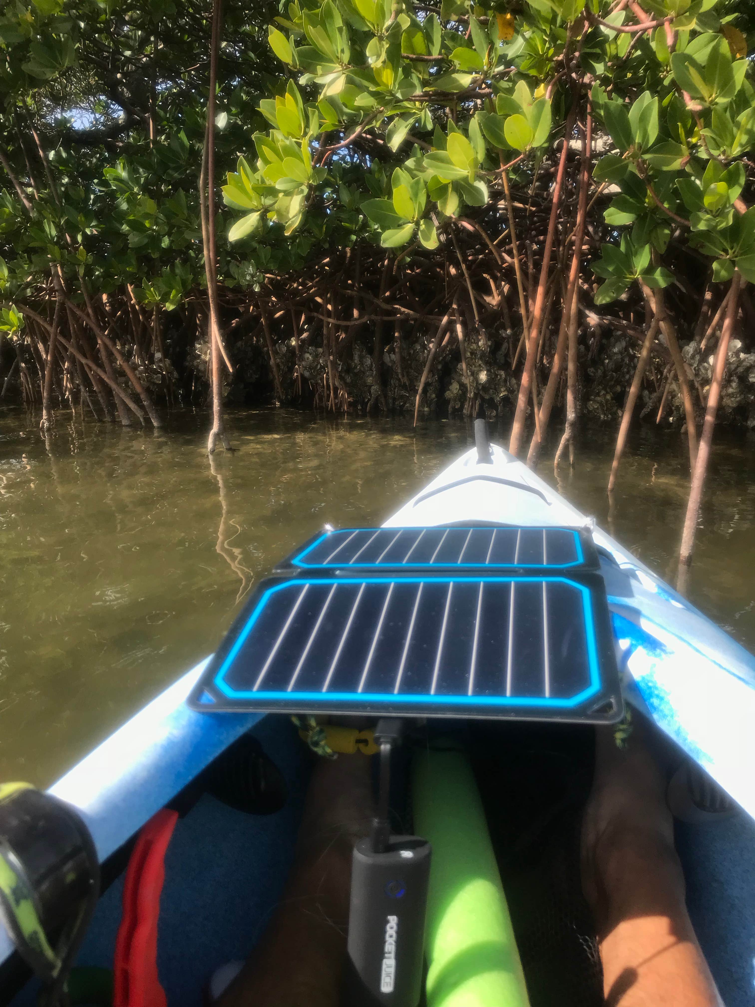 Camper-submitted photo at Fisheating Creek Campground near LaBelle, FL