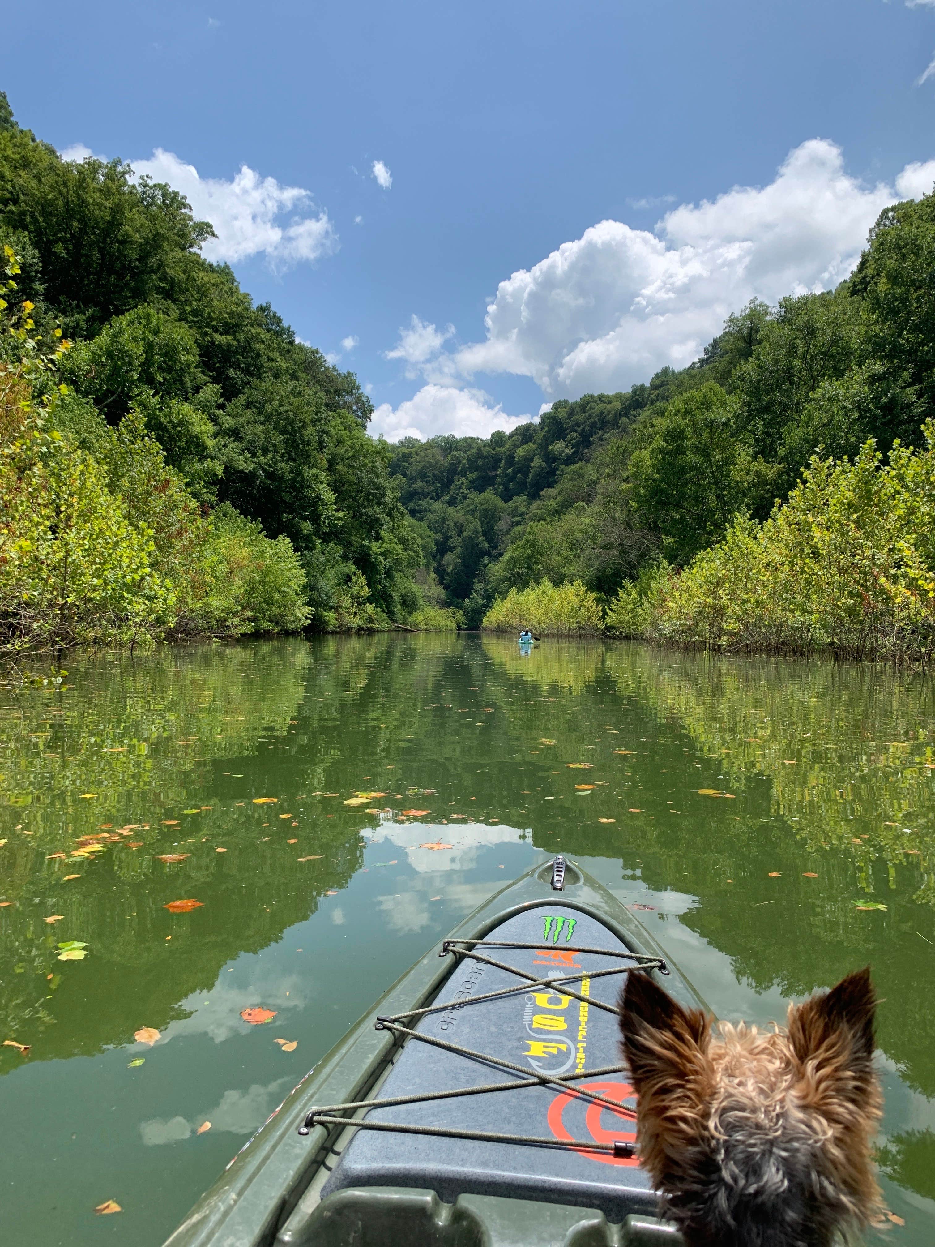 Camper submitted image from COE Cordell Hull Lake Salt Lick Creek Campground - 4