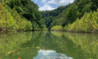 Chris Y.'s photo of camping with pets at COE Cordell Hull Lake Salt Lick Creek Campground near Fountain Run, KY