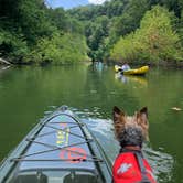 Review photo of COE Cordell Hull Lake Salt Lick Creek Campground by Chris Y., July 13, 2020