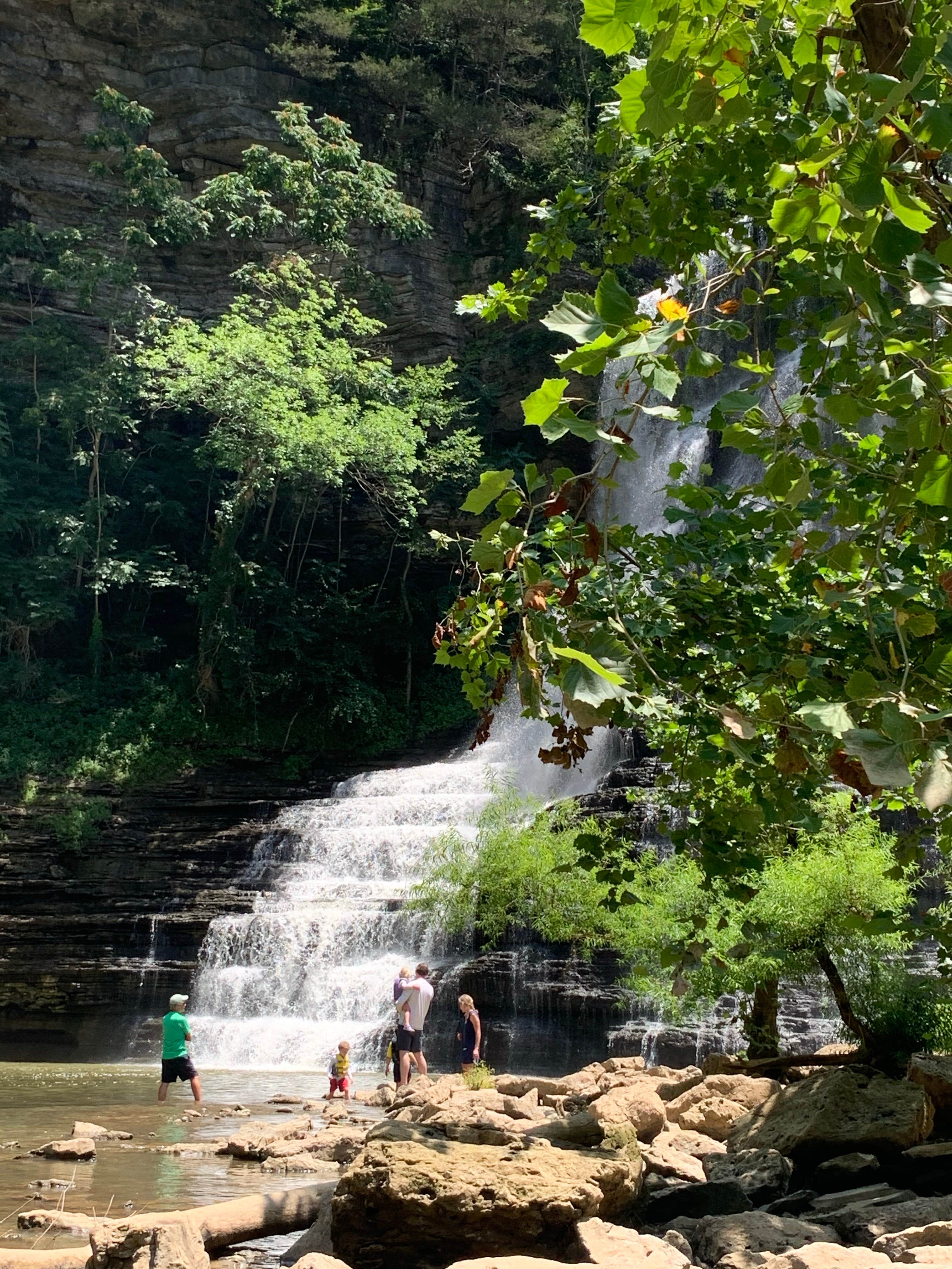 Camper submitted image from COE Cordell Hull Lake Salt Lick Creek Campground - 3