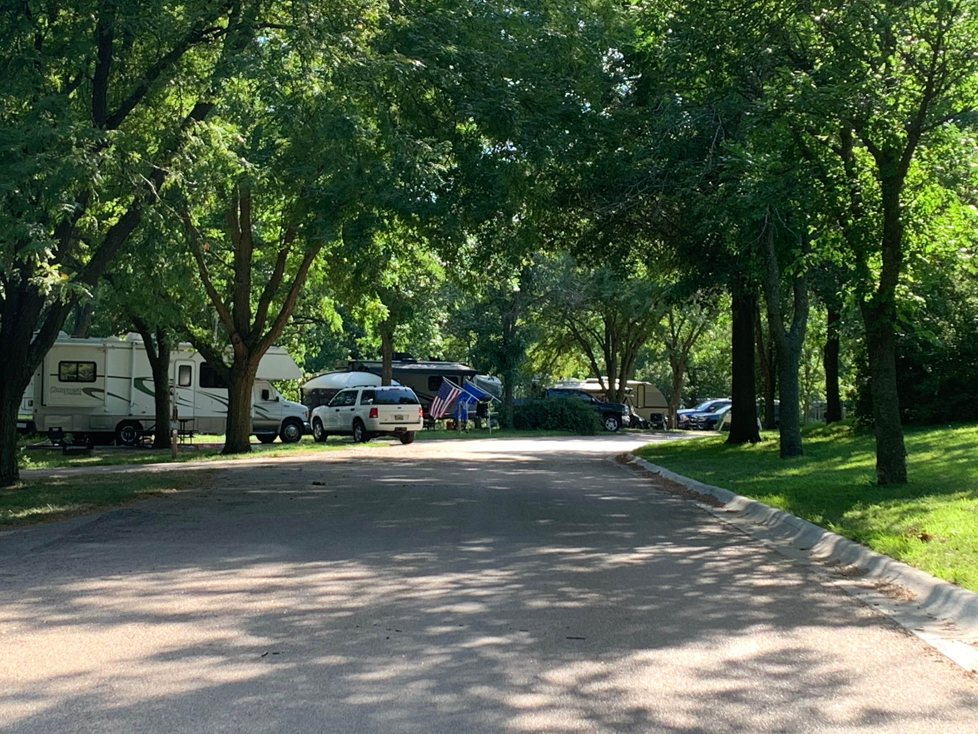 Springfield photo 4