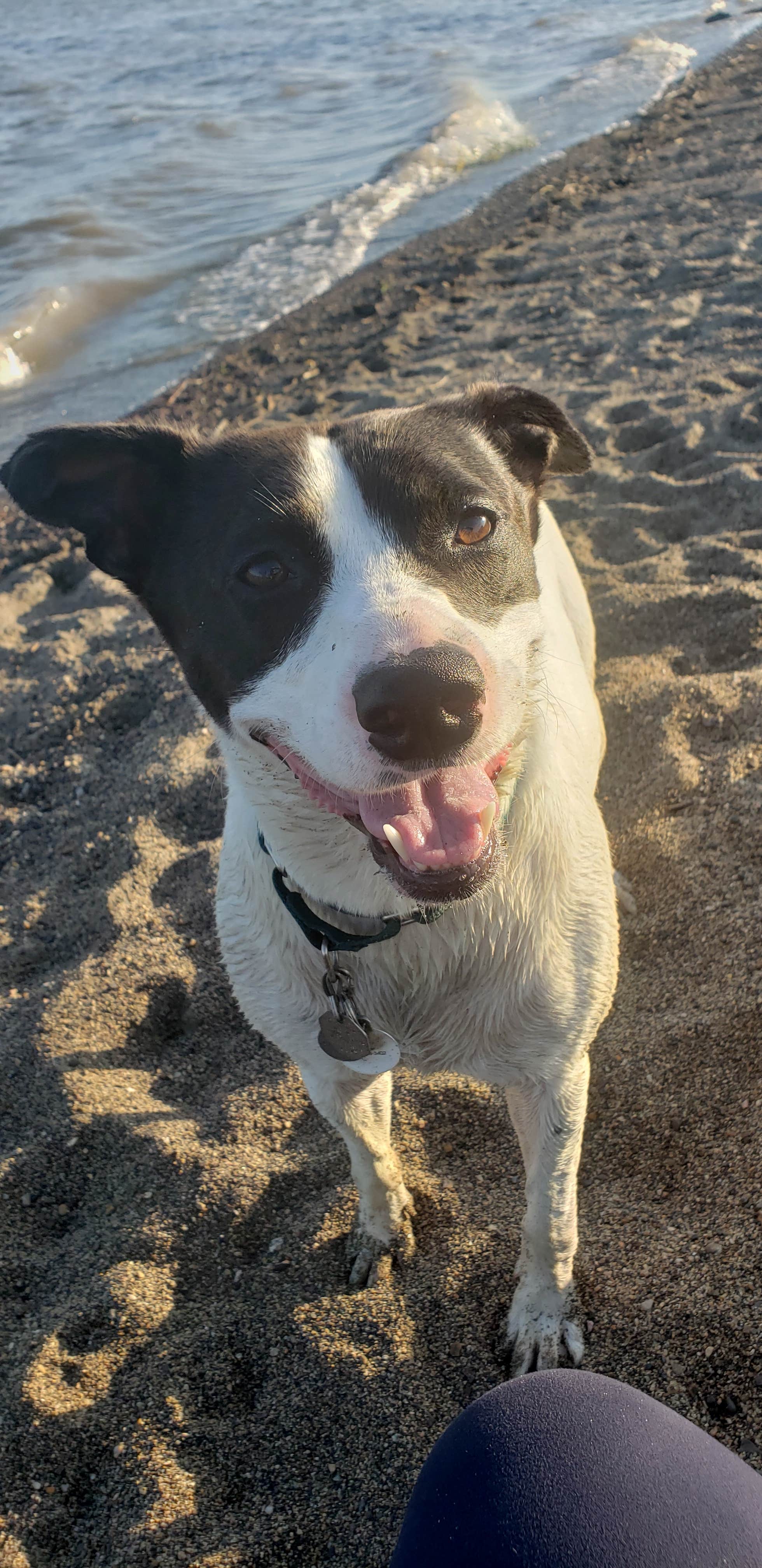 Tammie R.'s photo of camping with pets at Oacoma Flatts near Platte, SD