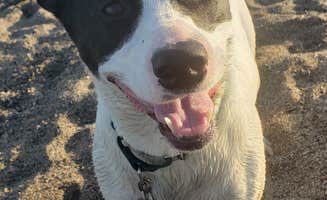 Tammie R.'s photo of camping with pets at Oacoma Flatts near Platte, SD